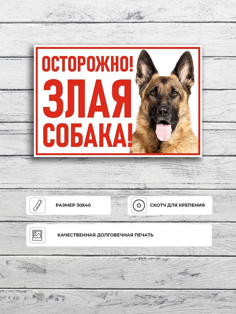 Табличка "Осторожно злая собака (Немецкая овчарка)" А3 (40х30см)  #1