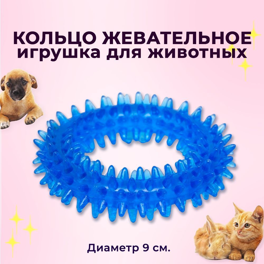 Игрушка для собак Кольцо с шипами, жевательная, Термопластичная резина, синяя, 9см, 1 шт.  #1