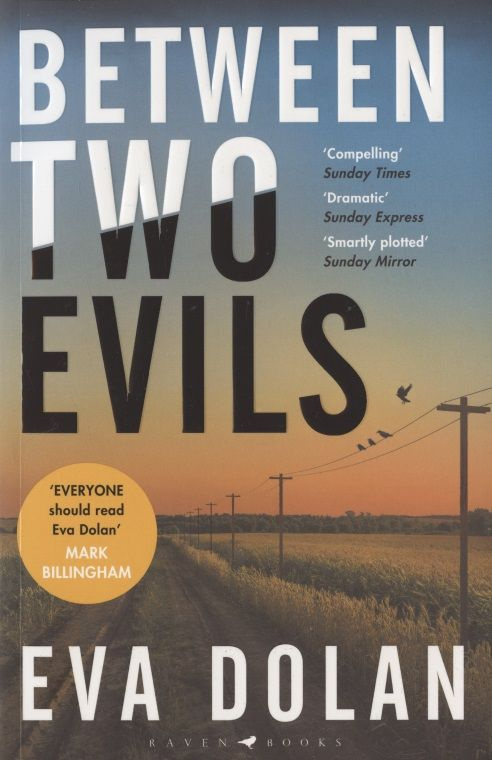 Книги на английском Between Two Evils #1