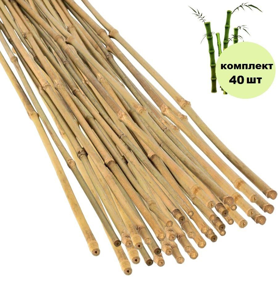 Бамбуковая палка 60 см / опора для цветов и рассады / комплект 40 шт  #1