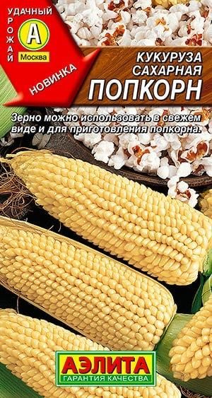 КУКУРУЗА САХАРНАЯ Попкорн. Семена. Вес 7 гр. Специальный сорт кукурузы для легкого домашнего приготовления #1