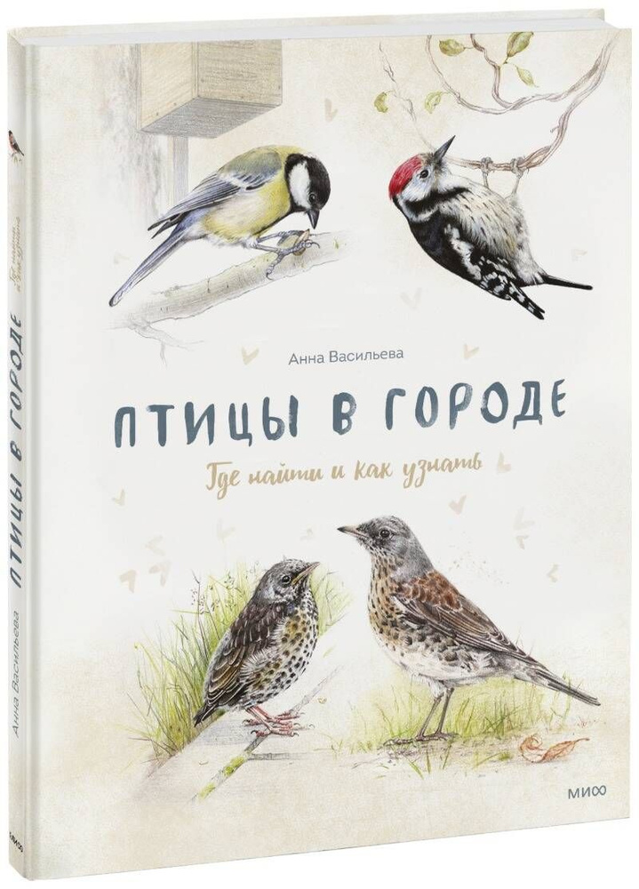 Птицы в городе. Где найти и как узнать | Васильева Анна #1