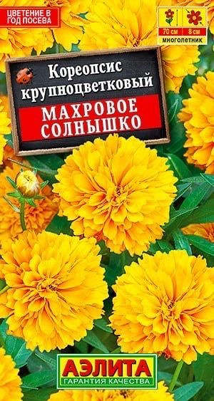 КОРЕОПСИС Махровое солнышко. Семена. Вес 0,1 гр. Морозоустойчивый, в средней полосе зимует без укрытия. #1