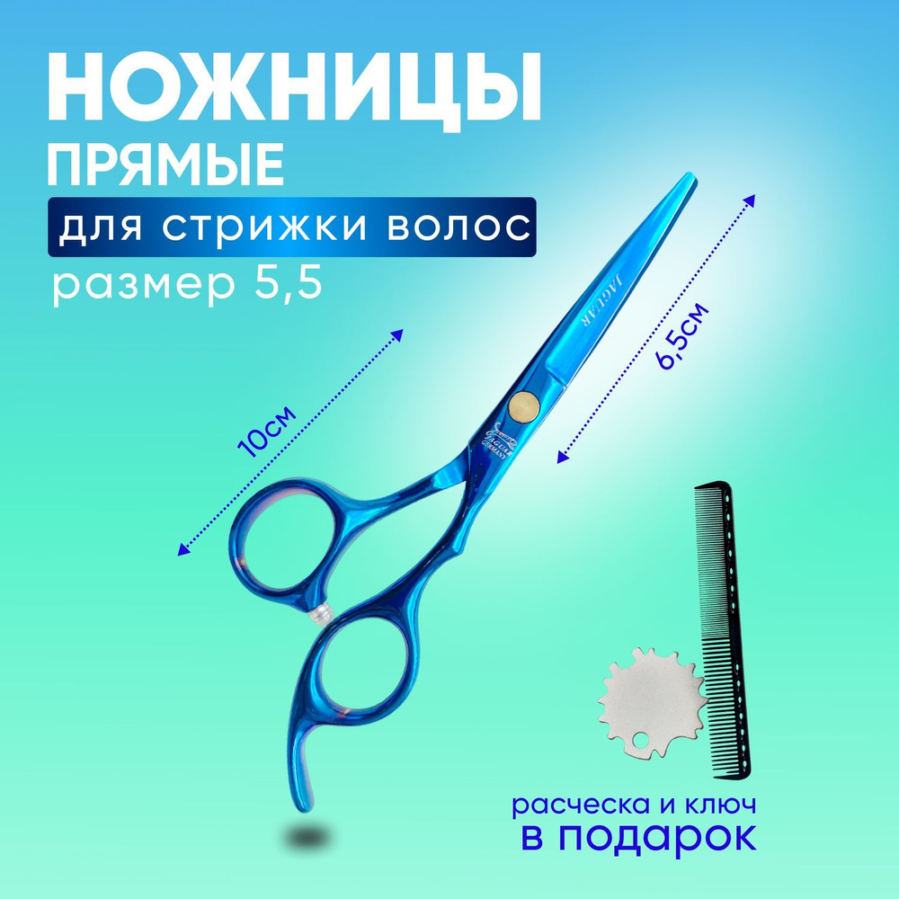 Charites / Ножницы парикмахерские прямые для учебы профессиональные полотно 5.5 цвет синий + В подарок #1
