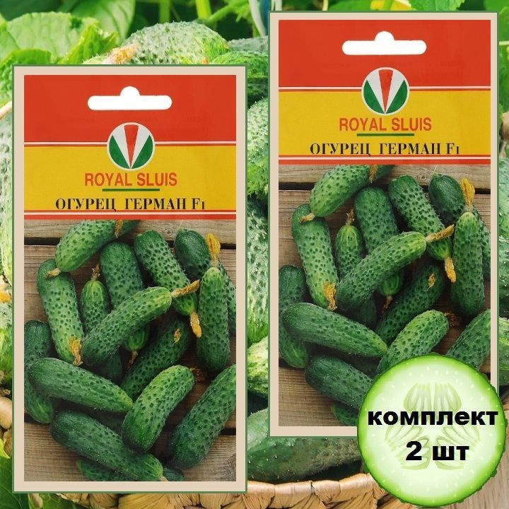 Семена Огурец Герман F1 партенокарпический высокоурожайный / ранний / комплект 2 шт  #1