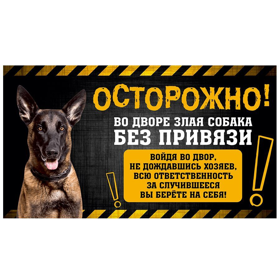 Табличка, с юмором, прикол, DANGER DOG, Осторожно! Во дворе собака без привязи, Малинуа, 25x14 см  #1