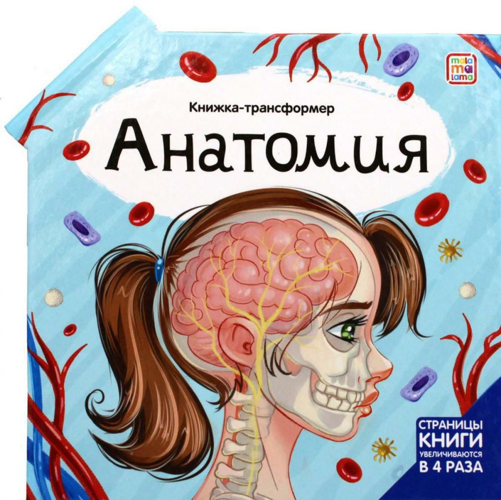 Анатомия: книжка-трансформер #1