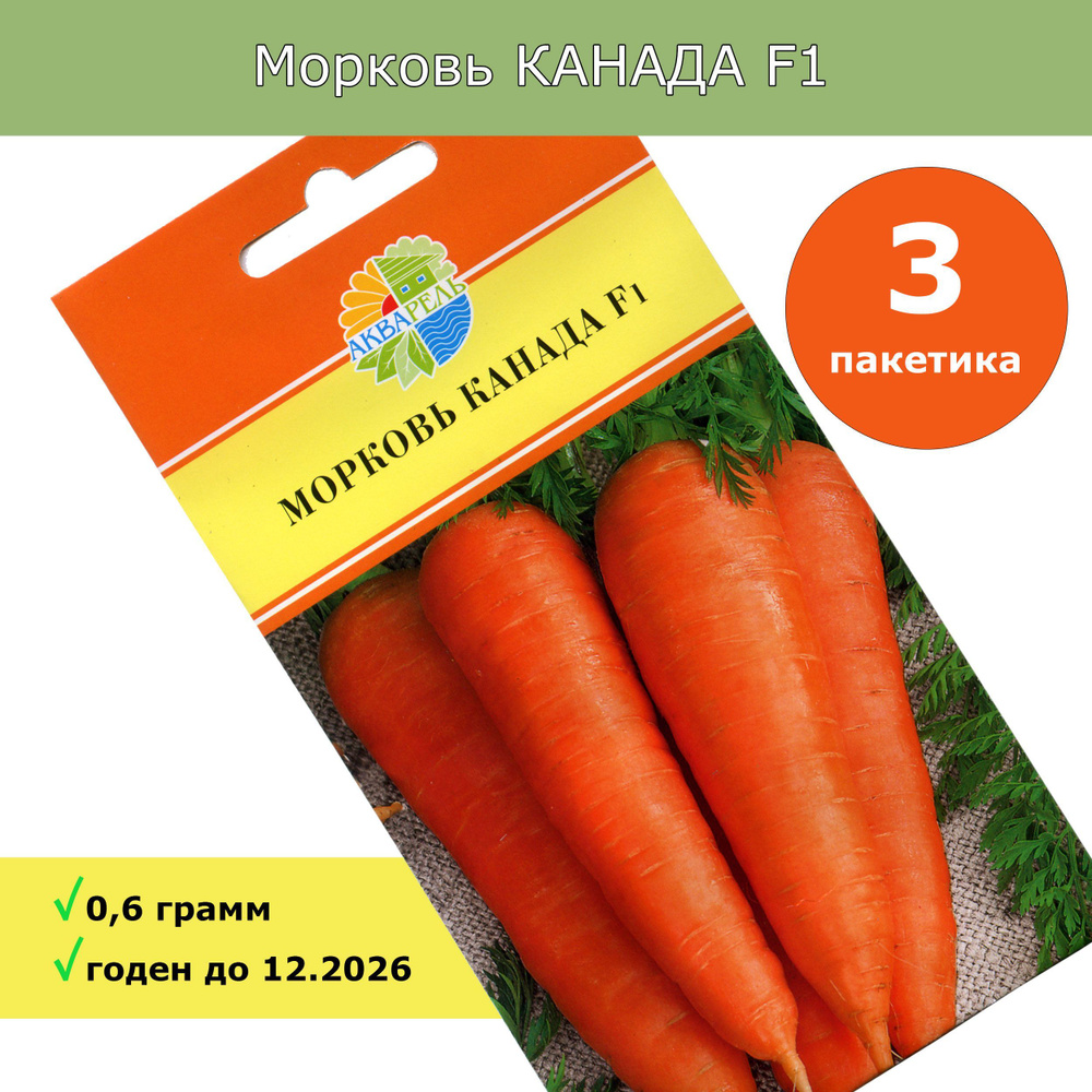 Морковь Канада F1. 3 пакетика по 0,2 грамма семян (0,6 г). Акварель.  #1