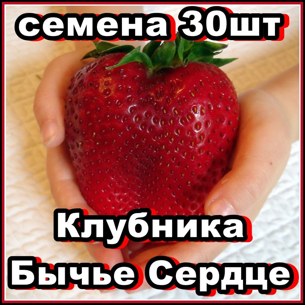 Семена клубники Бычье сердце 30 шт #1