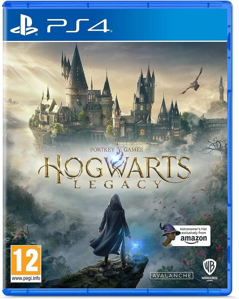 Игра Hogwarts Legacy (PS4, Русские субтитры) #1