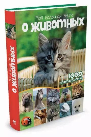 Наталья Куйе: Моя большая книга о животных. 1000 фотографий | Куйе Наталья  #1