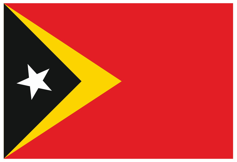 Флаг Восточного Тимора 70х105 см #1