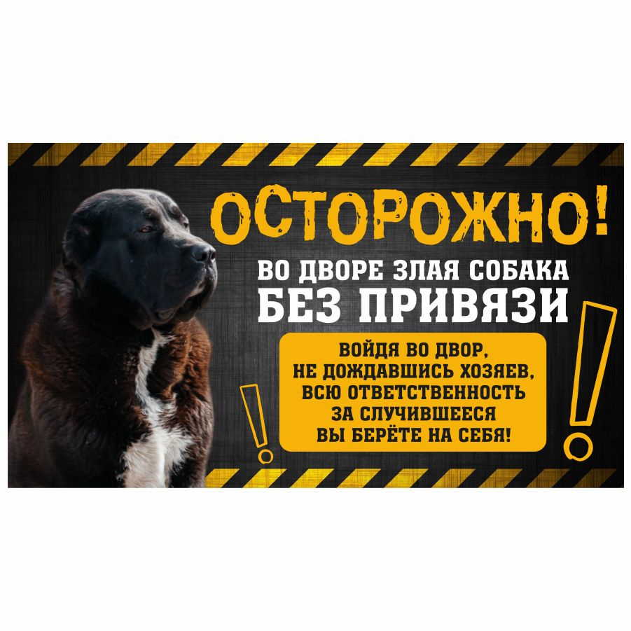 Табличка, с юмором, DANGER DOG, Осторожно! Во дворе собака без привязи, Алабай, 25x14 см  #1