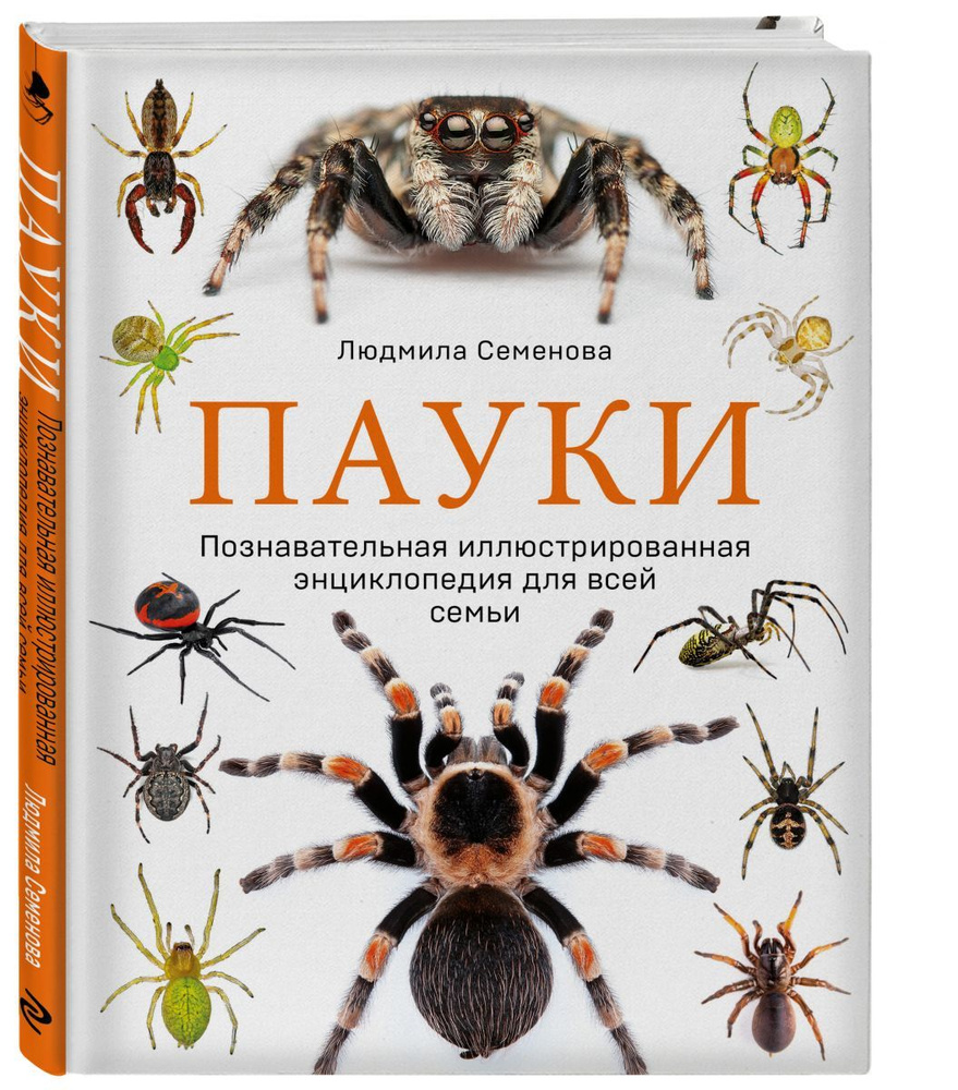 Пауки. Познавательная иллюстрированная энциклопедия для всей семьи  #1