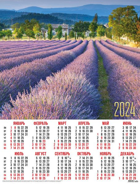 Листовой календарь на 2024 год А2 Природа. Лавандовое поле  #1