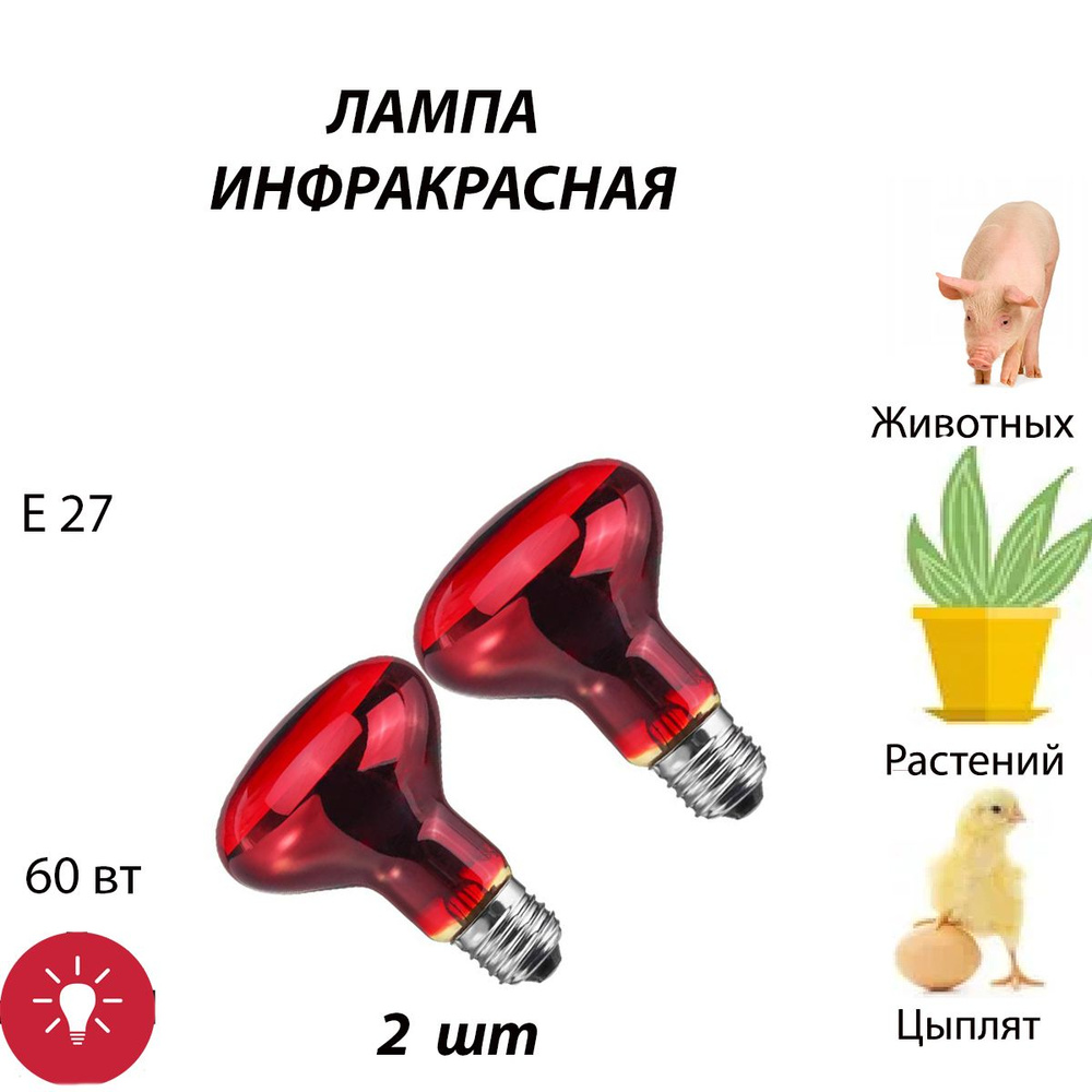 Лампа инфракрасная 2 шт для обогрева для лечения, для курятника, для растений, для птиц, для животных, #1