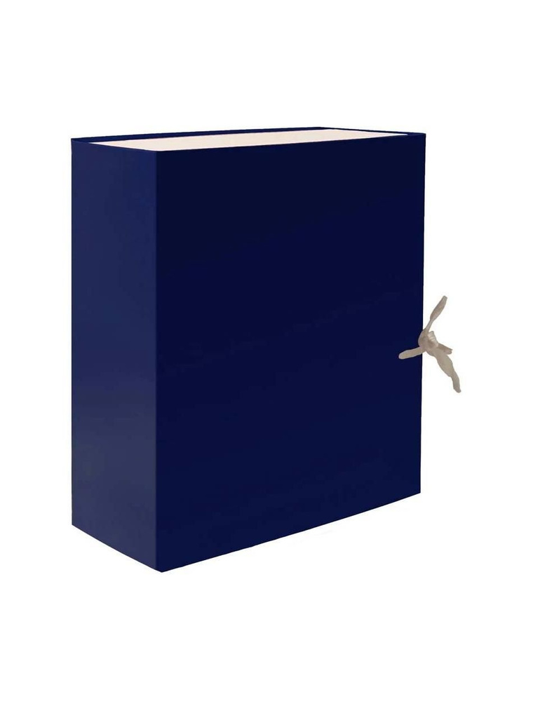 Папка-Короб Архивная Бумвинил 20 См 2 Завязки Синий 96000 #1