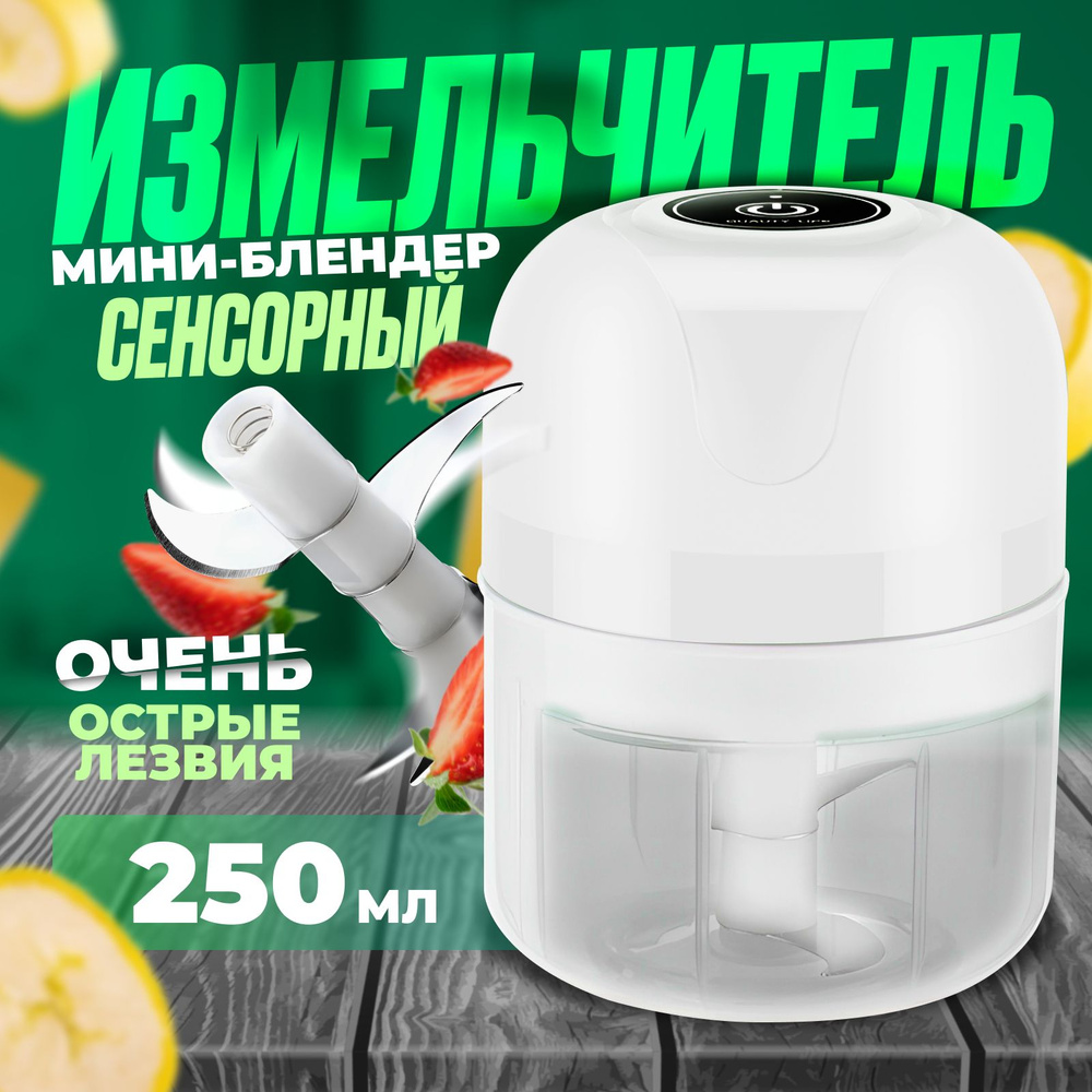 Измельчитель измельчитель/мини-блендер_250 - купить по низким ценам с  доставкой в интернет-магазине OZON (1318178355)