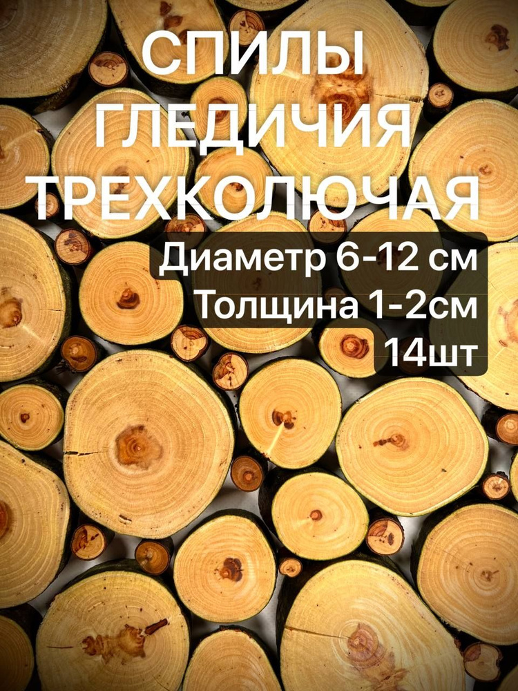 Спилы дерева Гледичия 6-12см 14шт #1