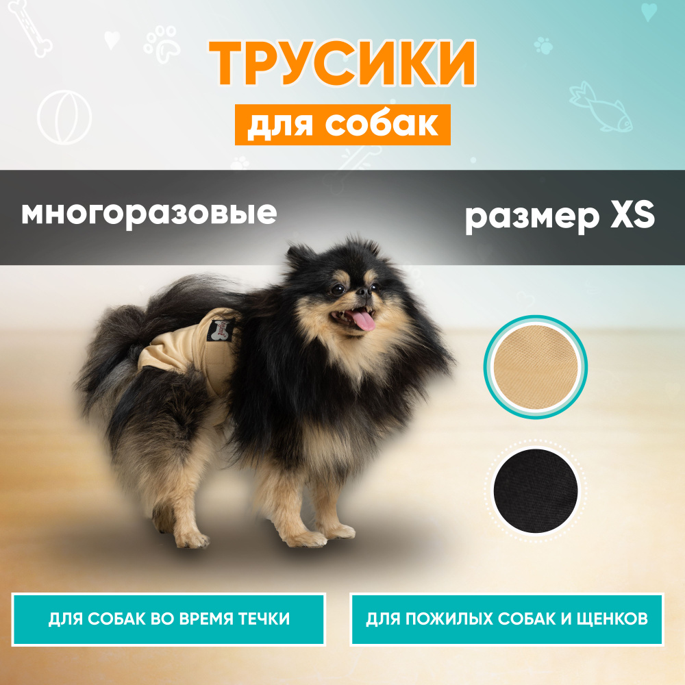 Трусы для собак многоразовые во время течки, трусики для собак Mr Dog для  девочек XS - купить с доставкой по выгодным ценам в интернет-магазине OZON  (257372048)