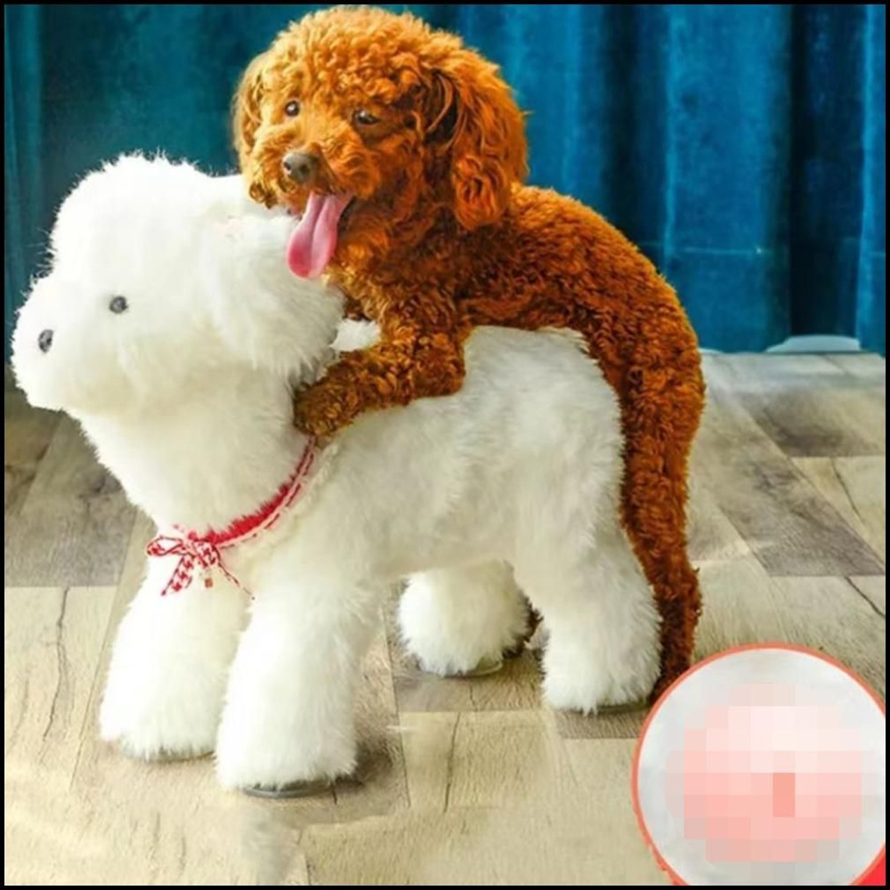 Секс с собакой Секс-игрушка для собак, секс-игрушка, Мужская собака купить на OZON по  низкой цене в Беларуси, Минске, Гомеле (1377503247)