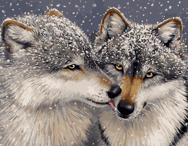 Картина по номерам 40x50 см на холсте (на подрамнике) "Волчья пара" /Живопись по номерам  #1