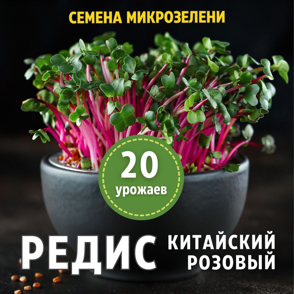 Редис "Чайна Роуз", 100гр. Семена микрозелени #1