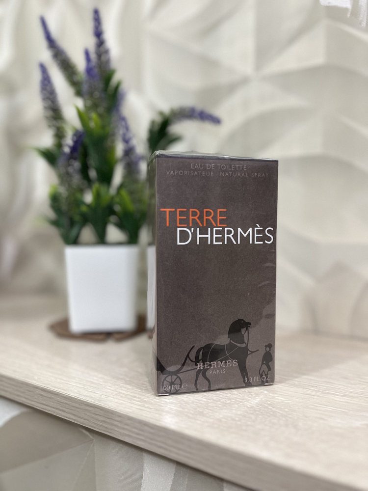 Hermes Terre D’Hermes HERMES PARIS Духи 100 мл #1