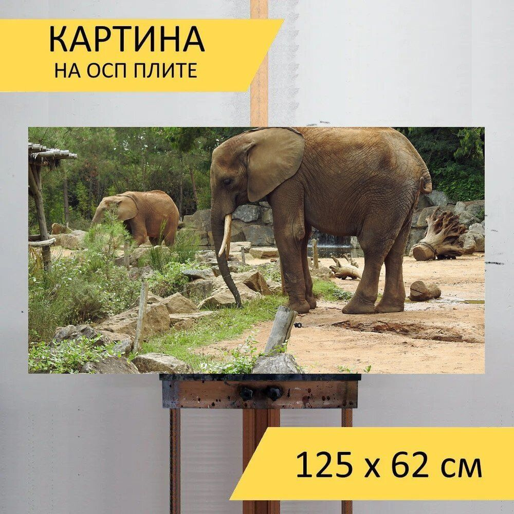 LotsPrints Картина "Слон, животные, пахидермис 45", 125  х 62 см #1