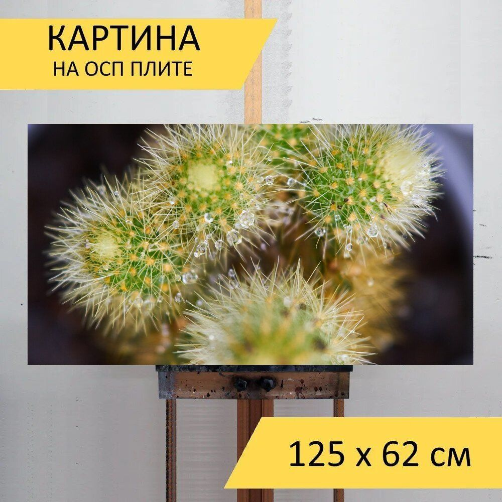 LotsPrints Картина "Кактус, цветок, трава 45", 125  х 62 см #1