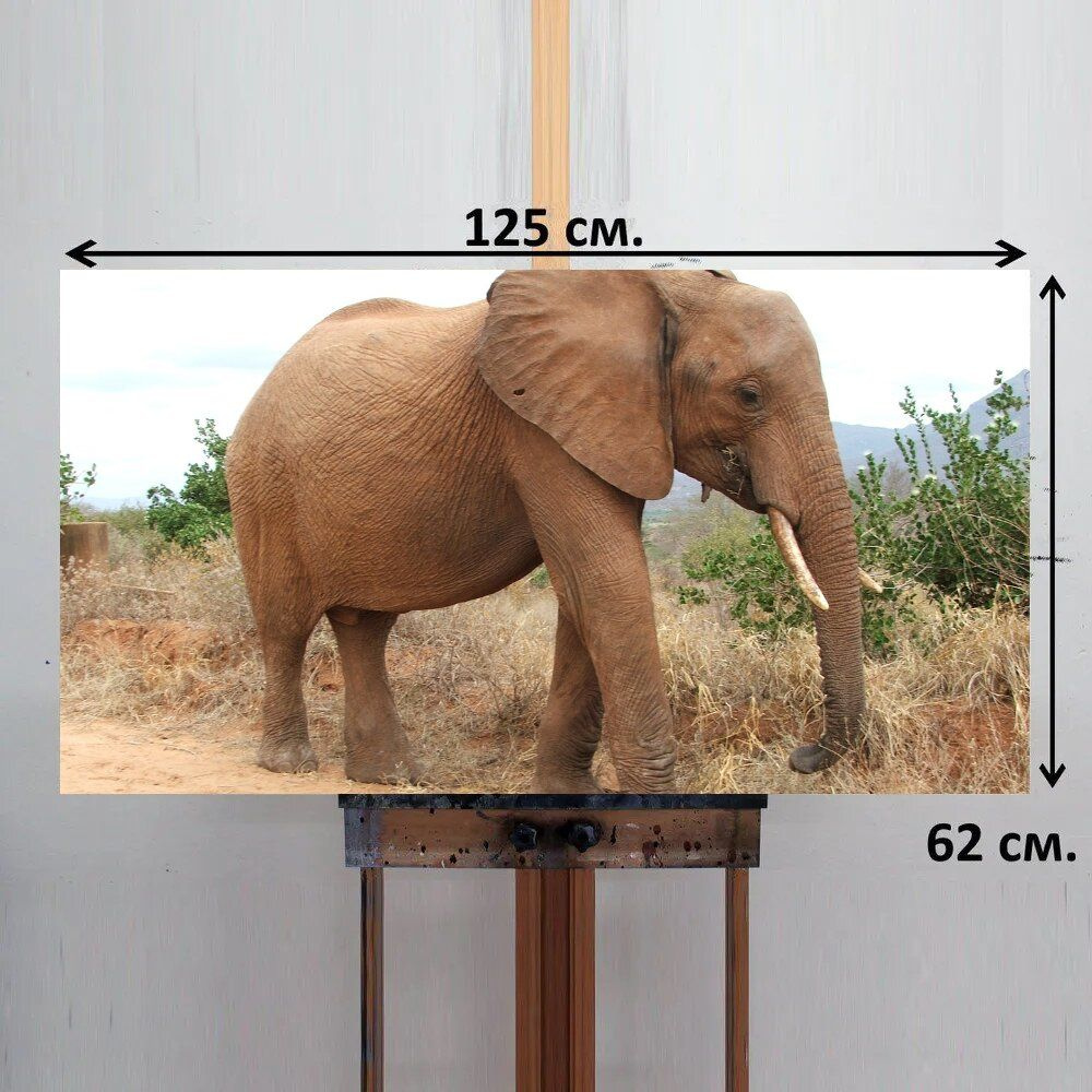 LotsPrints Картина "Слон, кения, сафари 80", 125  х 62 см #1