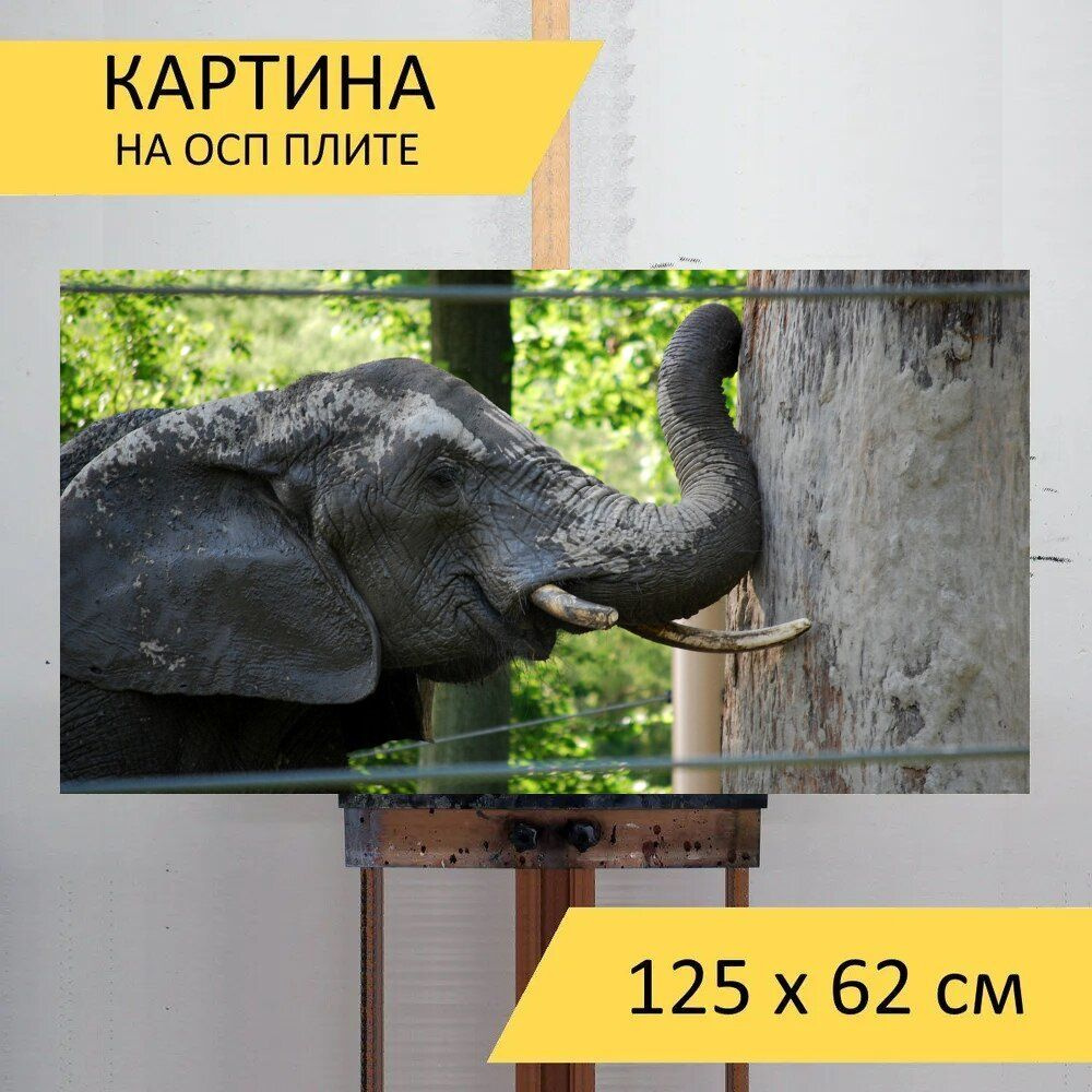LotsPrints Картина "Слон, определение, препятствие 96", 125 х 62 см  #1