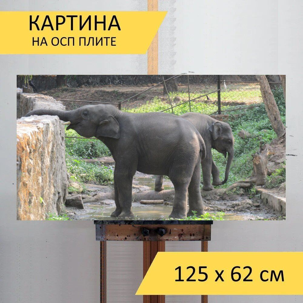 LotsPrints Картина "Слон, зоопарк, питьевая вода 33", 125  х 62 см #1