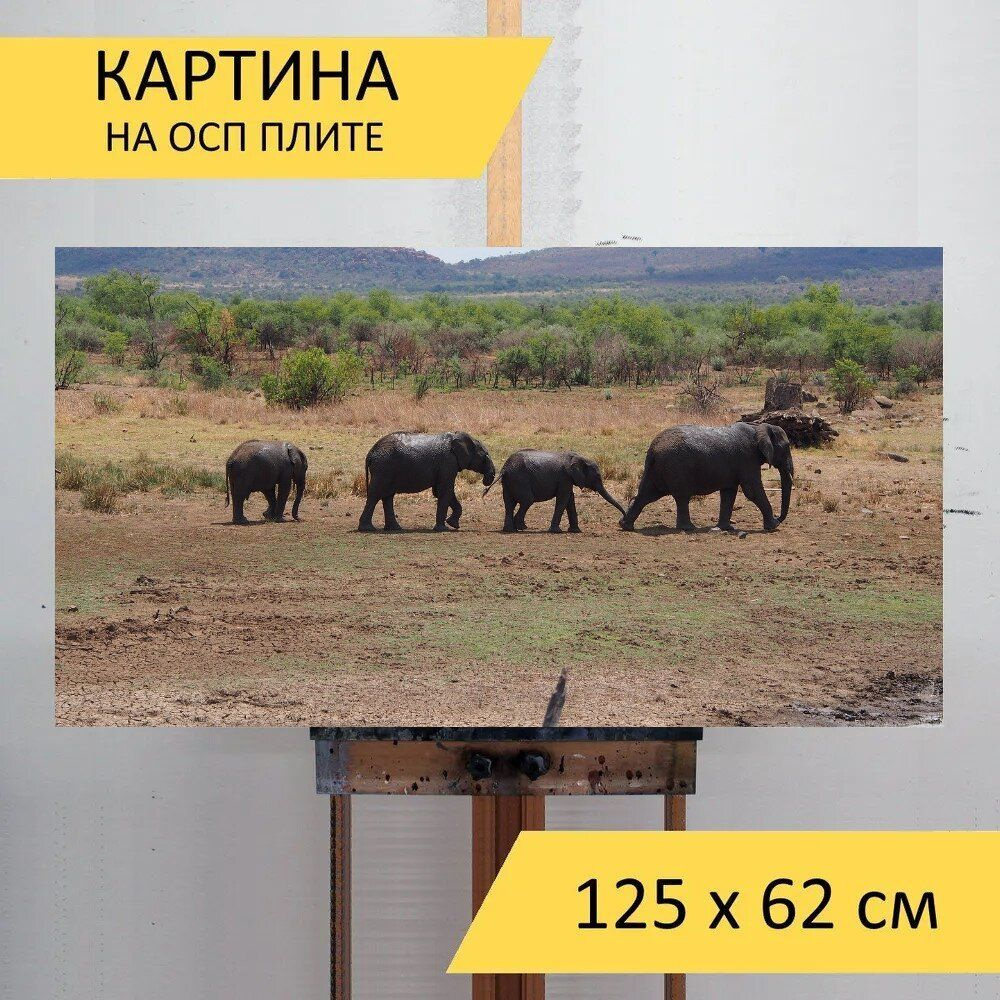 LotsPrints Картина "Слоны, стадо, слоненок 21", 125  х 62 см #1