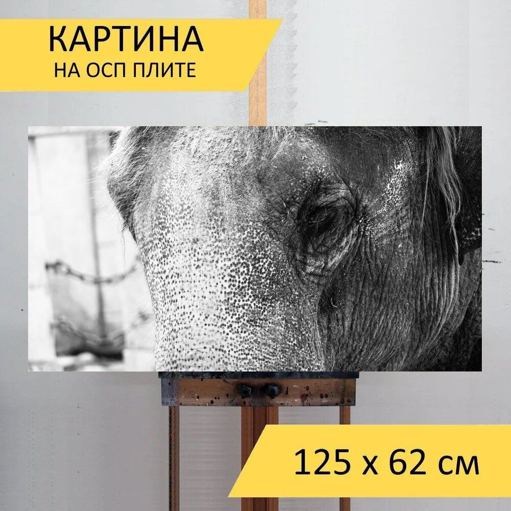 LotsPrints Картина "Слон, структура, бивни 10", 125  х 62 см #1