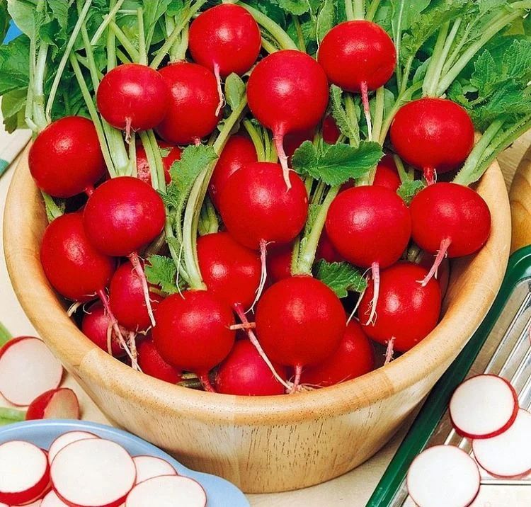 КоллекционныесеменаредисаДиегоF1