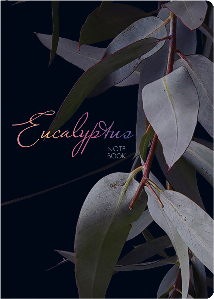 Записная книжка-блокнот ПОЛИНОМ Eucalyptus А5+, 96л, клетка, 70г/м2, твердая обложка soft-touch, 1шт/уп #1