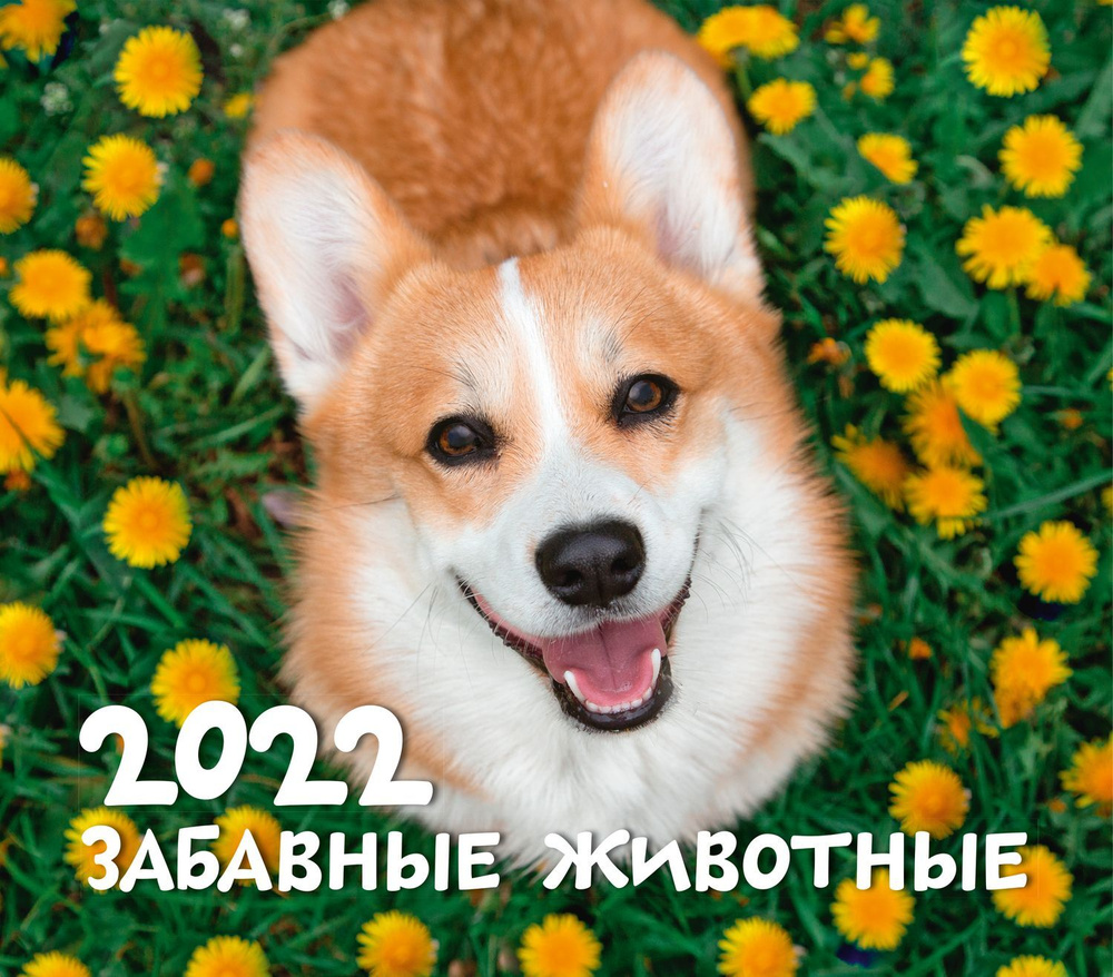 Календарь ND Play на 2022 год. Забавные животные (настольный, домик)  #1