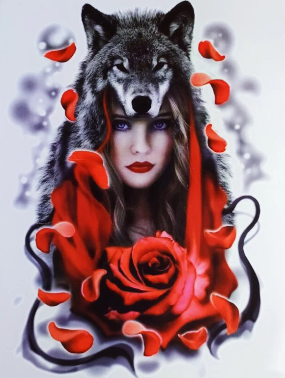 Картина по номерам на холсте 40х50 40 x 50 на подрамнике "Девушка в волчьей шкуре и алая роза." DVEKARTINKI #1