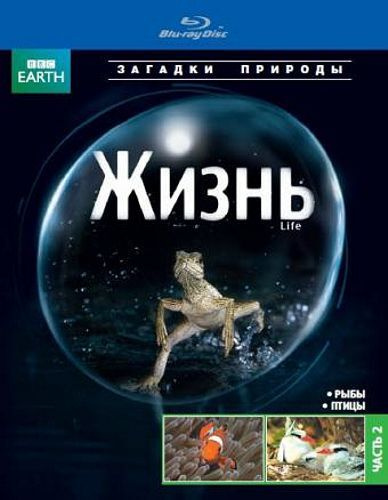 BBC: Жизнь. Часть 2 (Blu-ray) #1