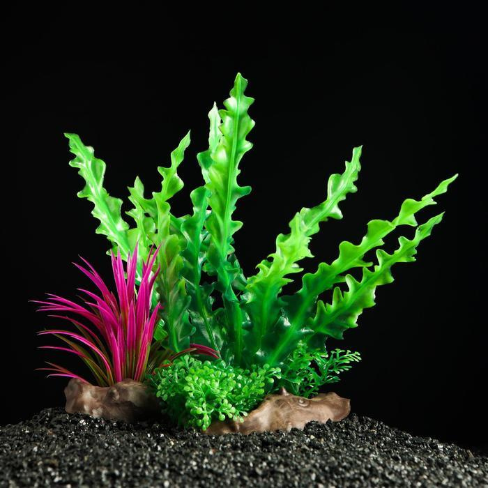 Пижон Аква Растение искусственное аквариумное на платформе в виде коряги, пластик, 18 см, зелёное, 2 #1
