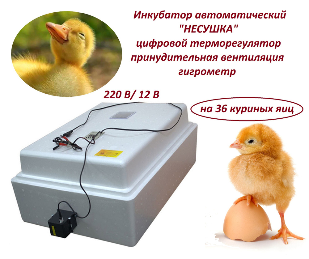 Инкубатор автоматический "Несушка" на 36 яиц, 220 В/12 В, цифровой терморегулятор, принудительная вентиляция,гигрометр #1