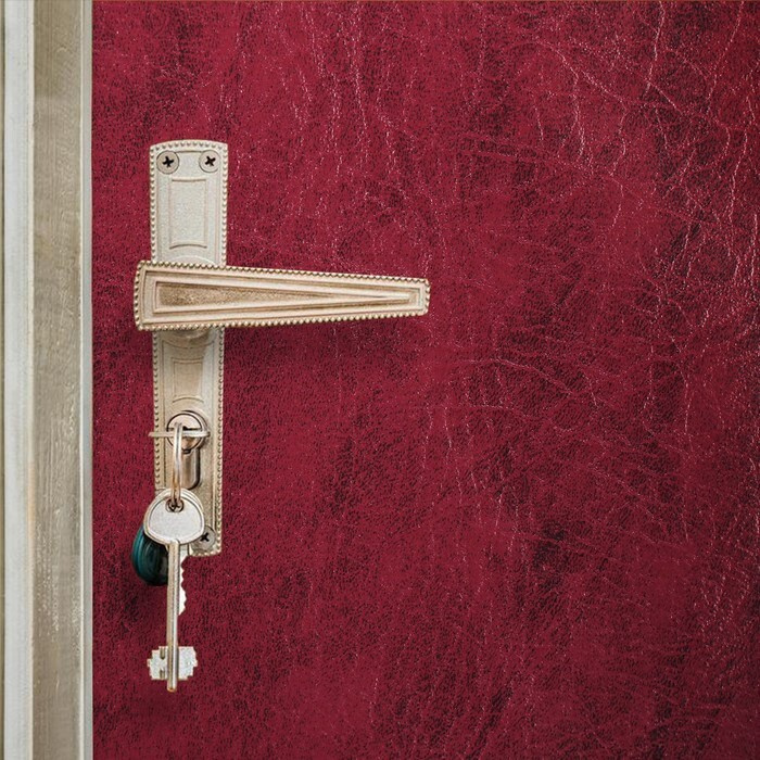 Комплект для обивки дверей, 110 x 200 см: искусственная кожа, поролон 3 мм, гвозди, бордо, "Эконом"  #1