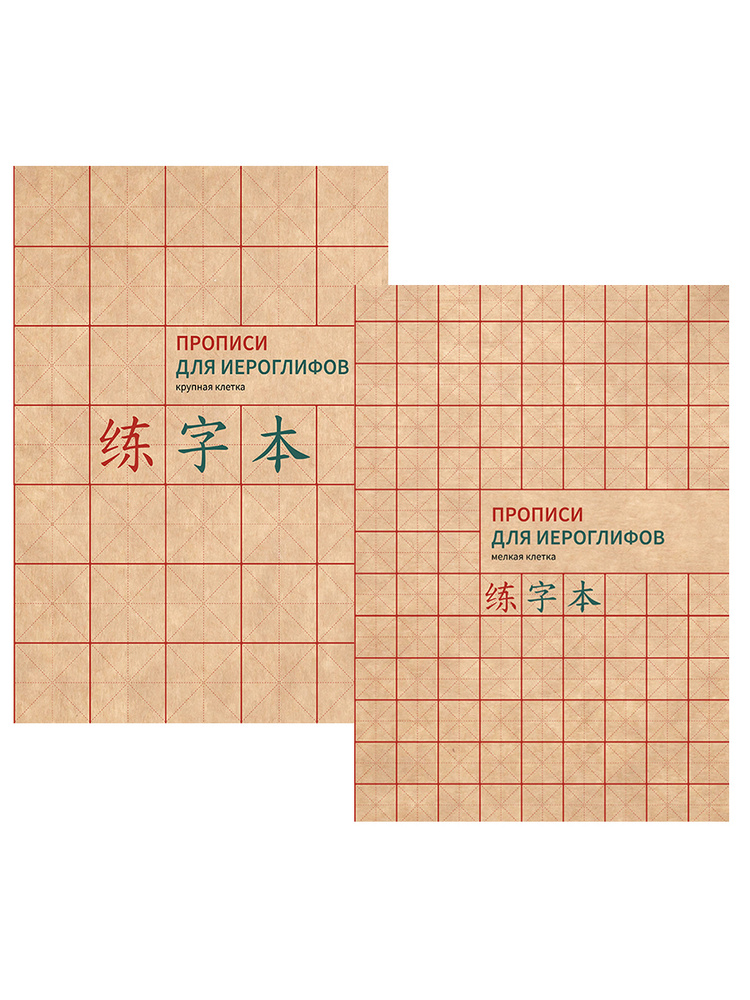 Прописи для китайских иероглифов. Мелкая и крупная клетка. Комплект из 2 тетрадей. Формат А4. | Ширяева #1