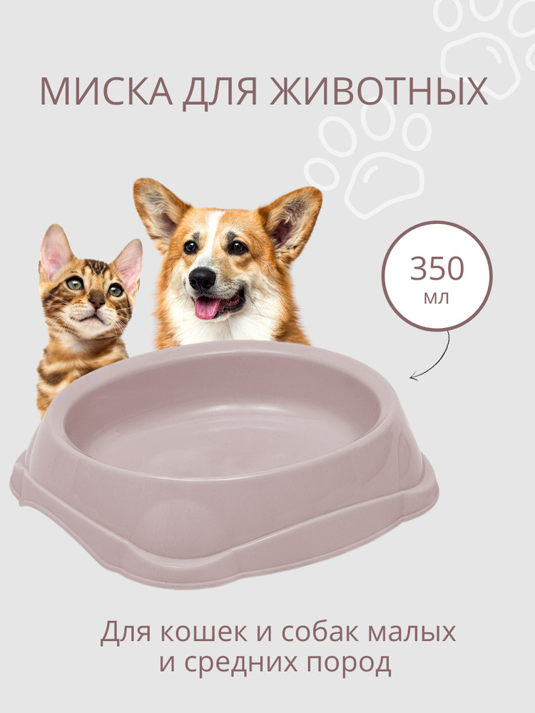 Миска для кошек, для собак DD Style / Пластиковая миска для воды и корма, пепельно-розовый, 350 мл  #1