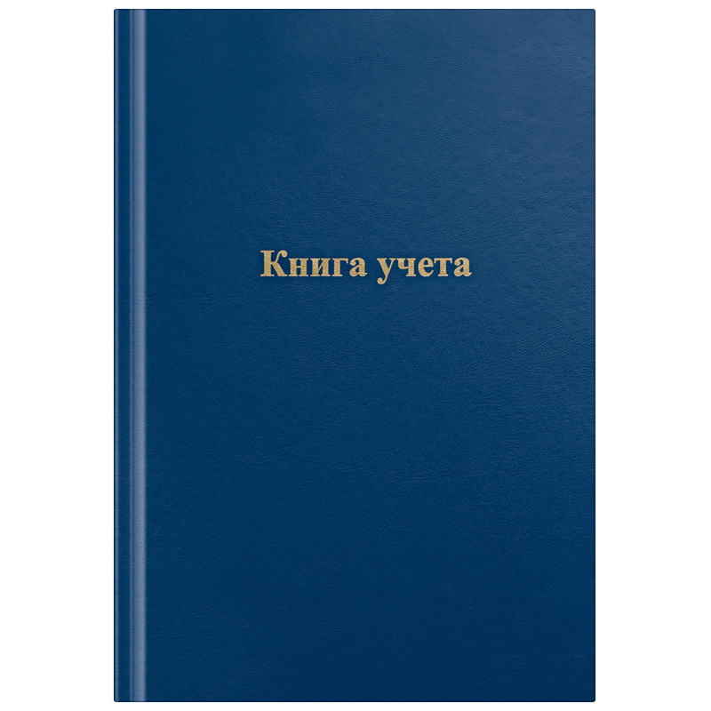 ACE Книга учета #1