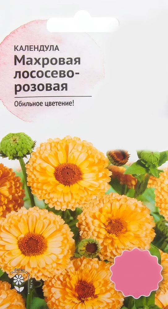 Календула махровая лососёво-розовая 0.3 г, настоящий эксклюзив среди классических окрасов, характерных #1