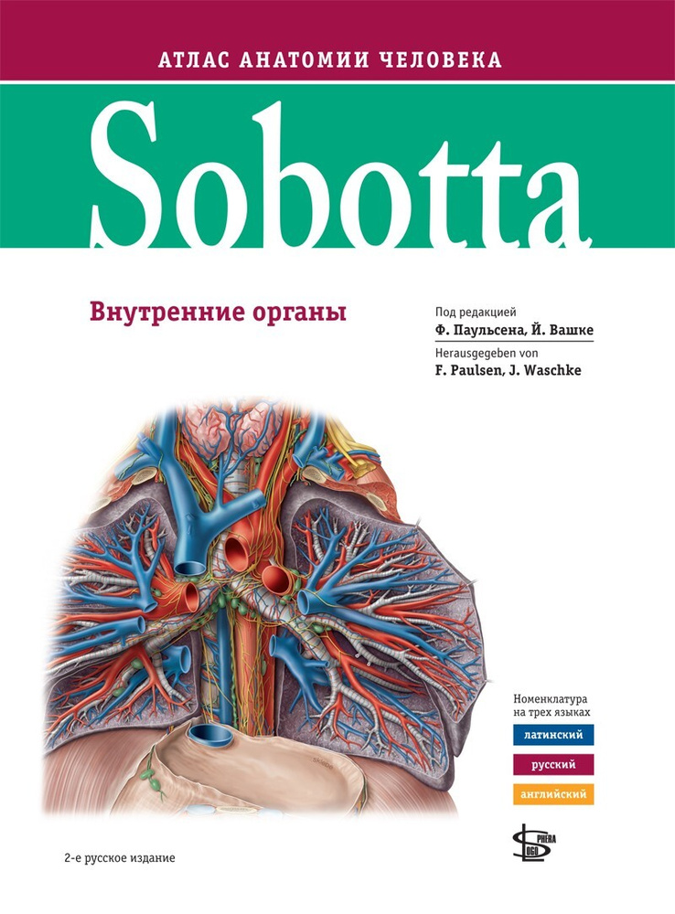 Sobotta. Атлас анатомии человека том 2, изд.2 #1