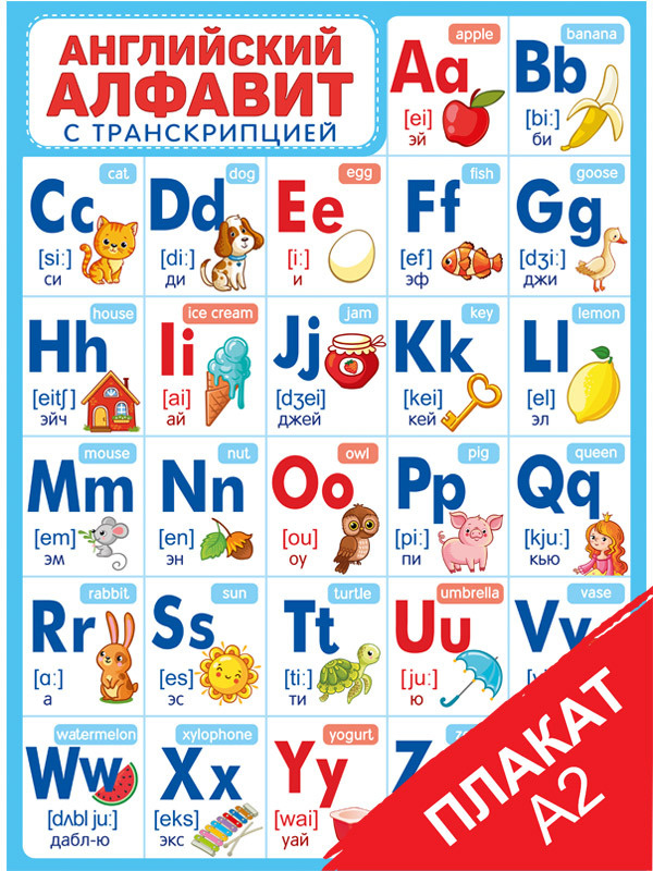 Картинки на английском — АЛФАВИТ — ALPHABET