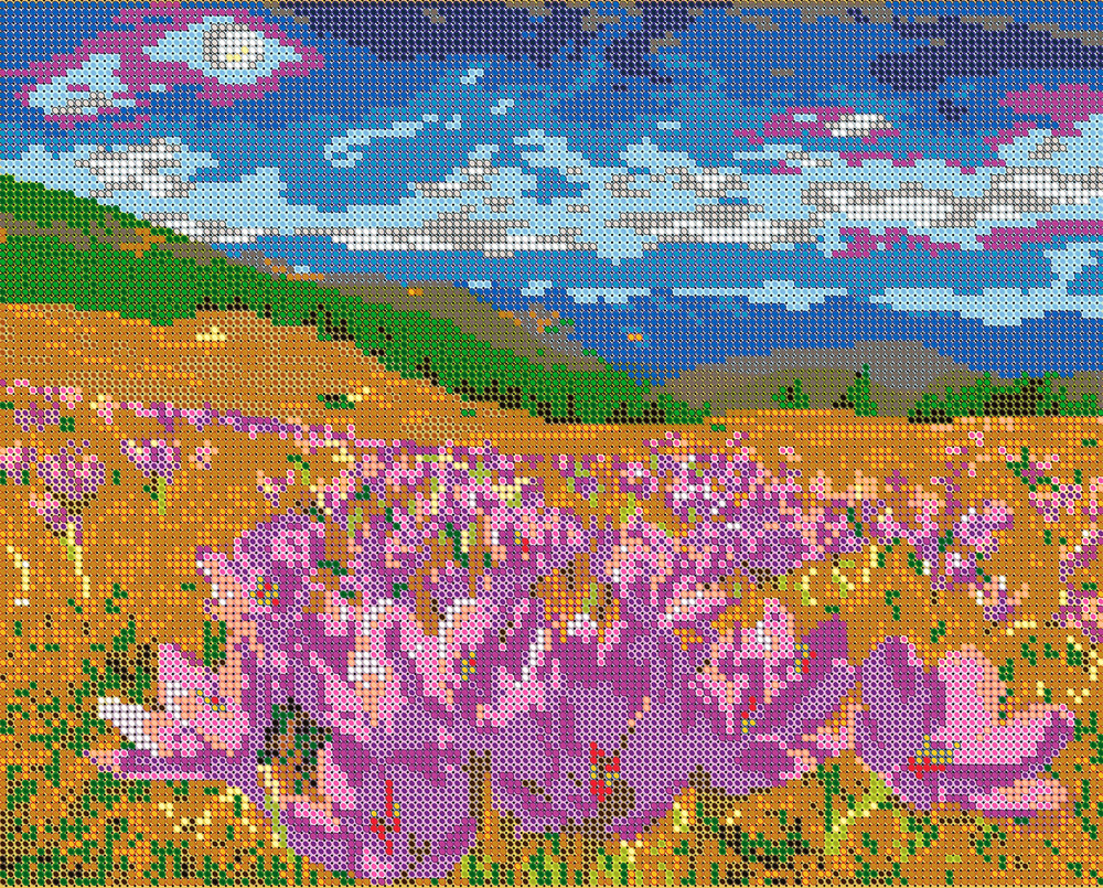 Набор для вышивания бисером Тайвань, картина Вышивочка "Цветочное поле" 24х30см, подарок для творчества, #1